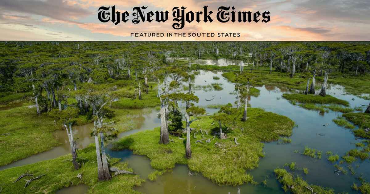 Swampy Areas in the Southern US NYT