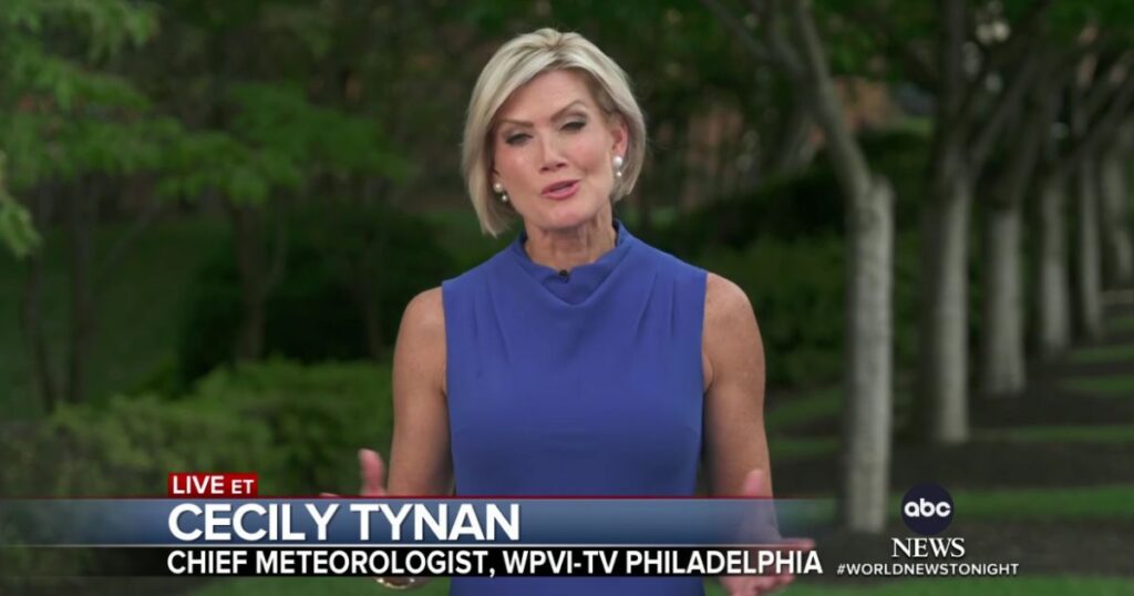 Cecily Tynan: Age, Early Life and Background