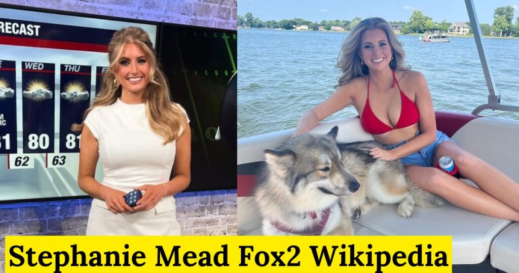 Stephanie Mead Fox2 Wikipedia