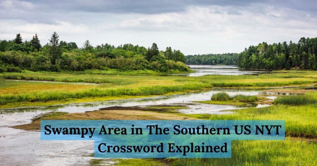 Swampy Area in The Southern US NYT Crossword Explained: How to Solve